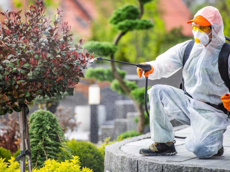 Bekilli Haşere İlaçlama